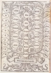 Celestial Ladder from 